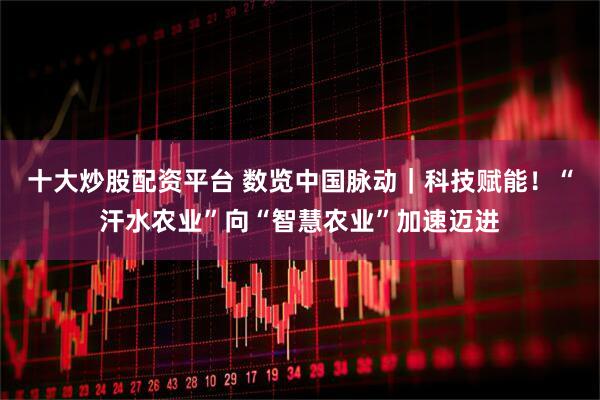 十大炒股配资平台 数览中国脉动｜科技赋能！“汗水农业”向“智慧农业”加速迈进