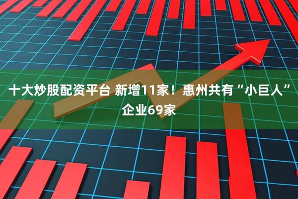十大炒股配资平台 新增11家！惠州共有“小巨人”企业69家