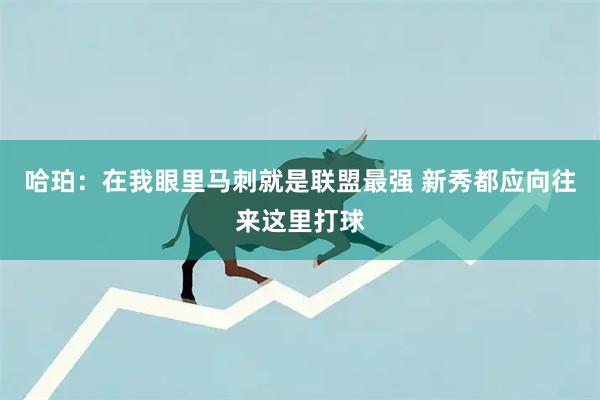 哈珀：在我眼里马刺就是联盟最强 新秀都应向往来这里打球