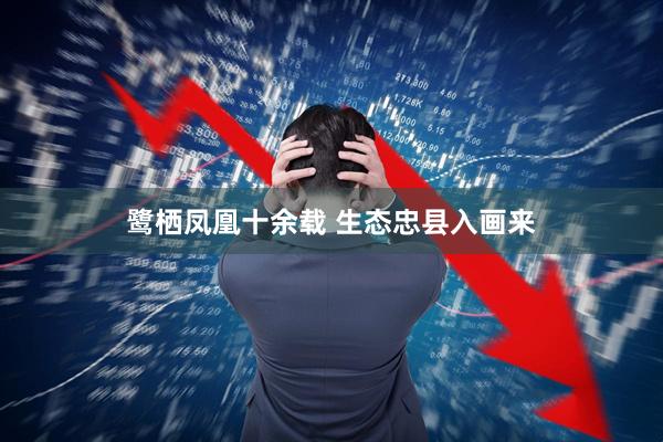 鹭栖凤凰十余载 生态忠县入画来