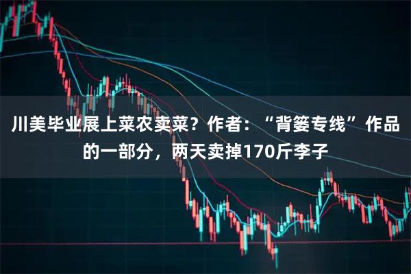 川美毕业展上菜农卖菜？作者：“背篓专线” 作品的一部分，两天卖掉170斤李子